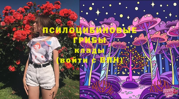сатива Абдулино