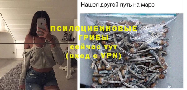 сатива Абдулино